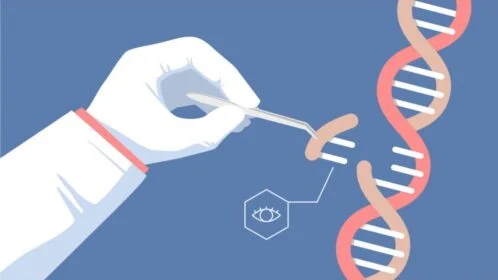 La revolución genética ha llegado: CRISPR contra la ceguera. La ciencia una vez más demuestra que el progreso colectivo es imparable.